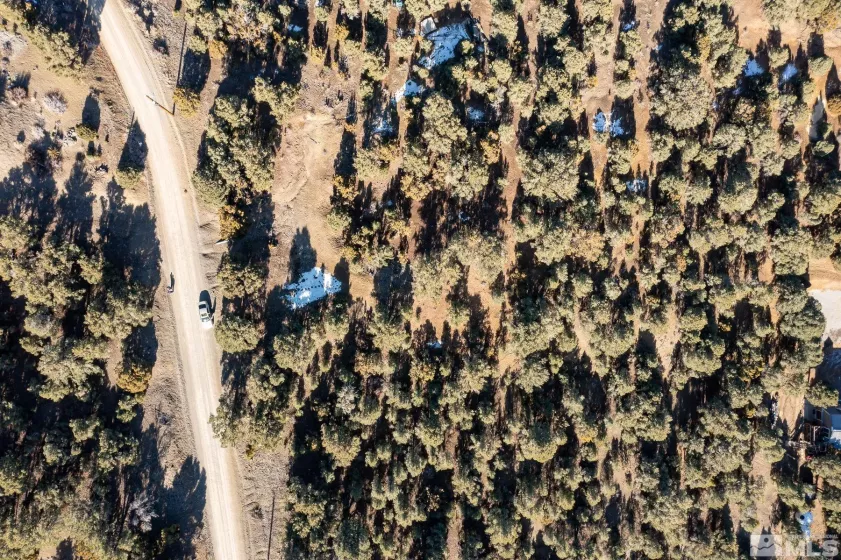 1791 Harte, Reno, Nevada 89521, ,Land,Residential,Harte,230009486