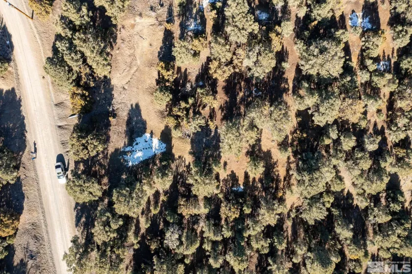 1801 Harte, Reno, Nevada 89521, ,Land,Residential,Harte,230009485