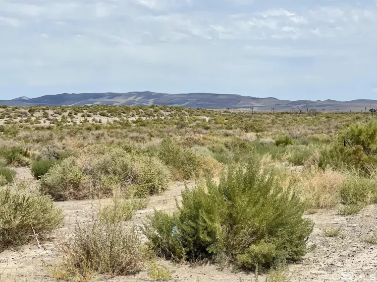 0000 Hwy 50A, Fernley, Nevada 89408, ,Land,Residential,Hwy 50A,230008850
