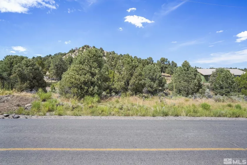 2478 Cartwright, Reno, Nevada 89521, ,Land,Residential,Cartwright,230008928