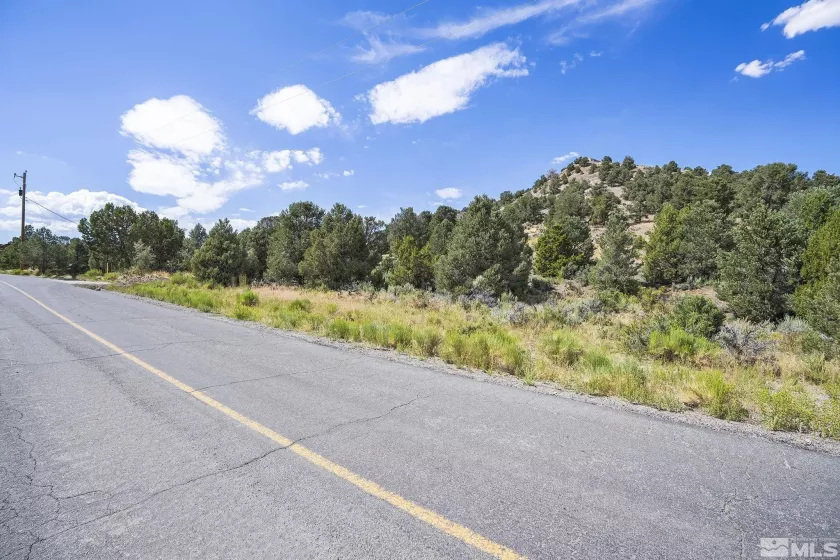 2478 Cartwright, Reno, Nevada 89521, ,Land,Residential,Cartwright,230008928