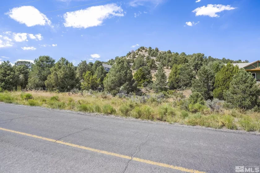 2478 Cartwright, Reno, Nevada 89521, ,Land,Residential,Cartwright,230008928
