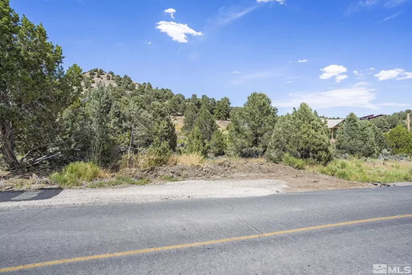 2478 Cartwright, Reno, Nevada 89521, ,Land,Residential,Cartwright,230008928