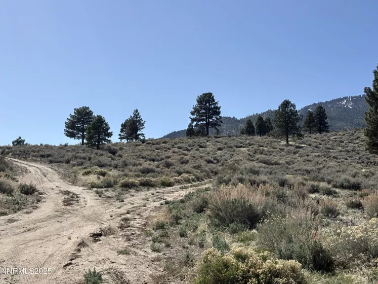 5000 Hwy 50, Carson City, Nevada 89703, ,Land,Residential,Hwy 50,210007651