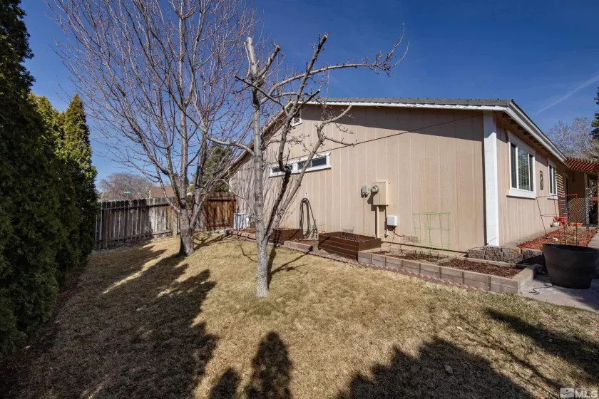 Side yard