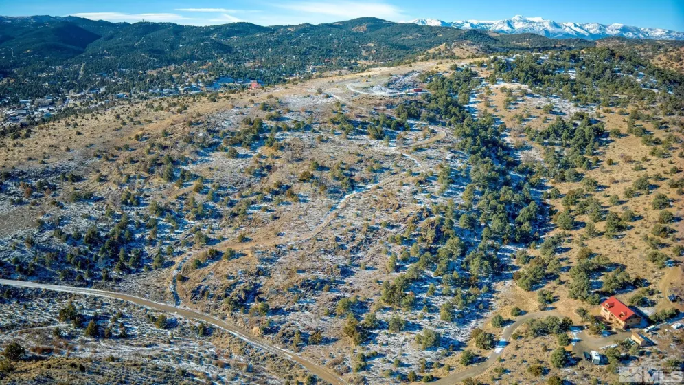2480 Lousetown, Reno, Nevada 89521, ,Land,Residential,Lousetown,250000059