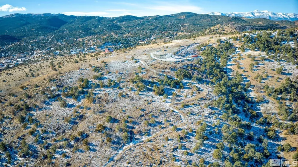 2480 Lousetown, Reno, Nevada 89521, ,Land,Residential,Lousetown,250000059