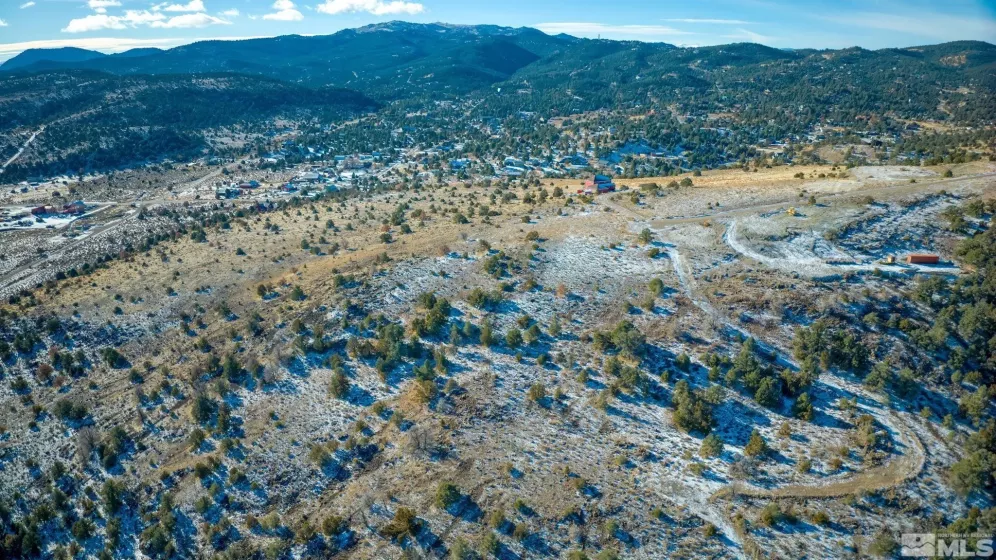 2480 Lousetown, Reno, Nevada 89521, ,Land,Residential,Lousetown,250000059