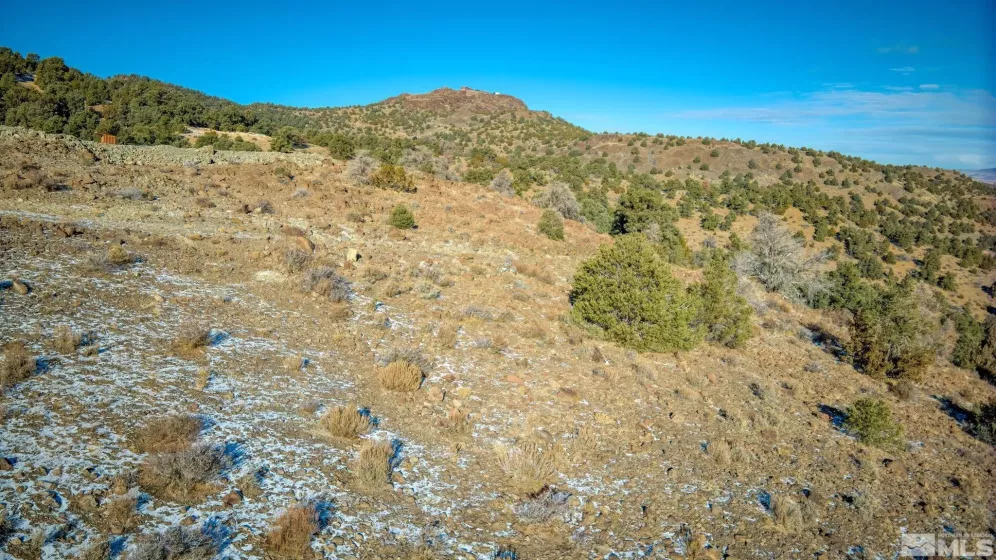 2480 Lousetown, Reno, Nevada 89521, ,Land,Residential,Lousetown,250000059