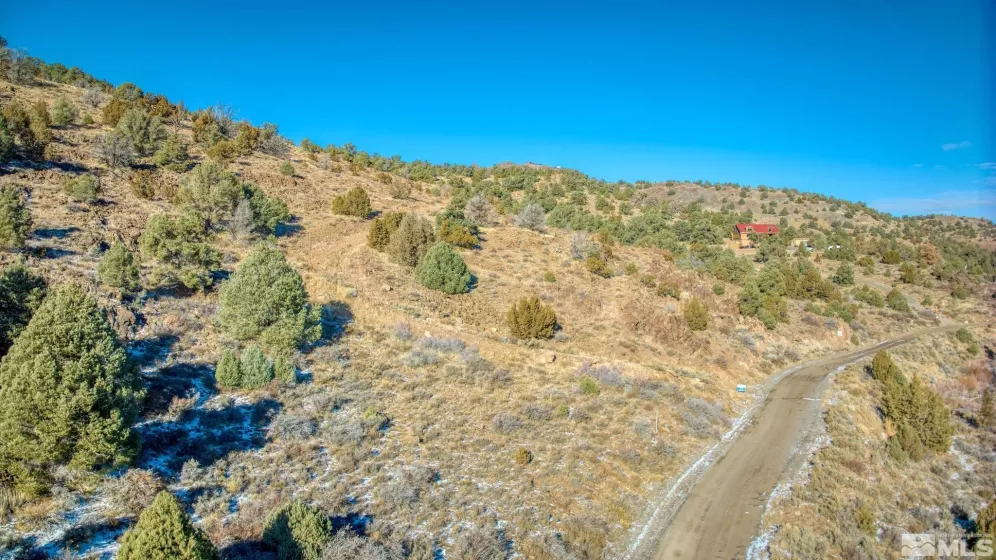 2480 Lousetown, Reno, Nevada 89521, ,Land,Residential,Lousetown,250000059