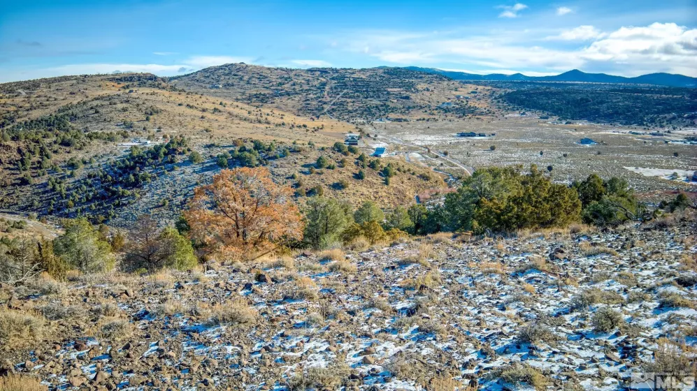 2480 Lousetown, Reno, Nevada 89521, ,Land,Residential,Lousetown,250000059