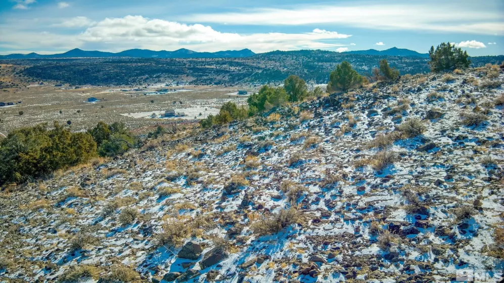 2480 Lousetown, Reno, Nevada 89521, ,Land,Residential,Lousetown,250000059