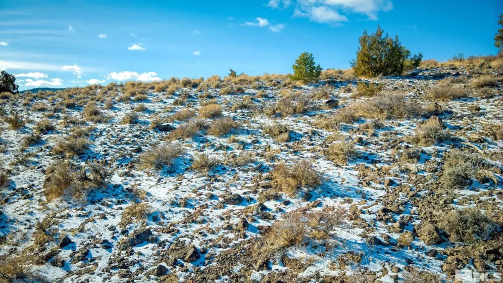 2480 Lousetown, Reno, Nevada 89521, ,Land,Residential,Lousetown,250000059