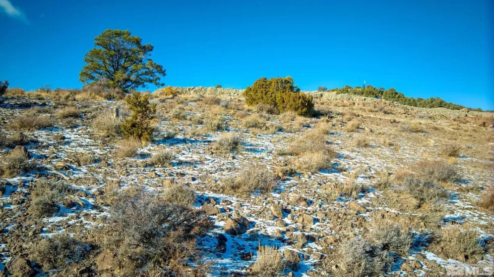 2480 Lousetown, Reno, Nevada 89521, ,Land,Residential,Lousetown,250000059