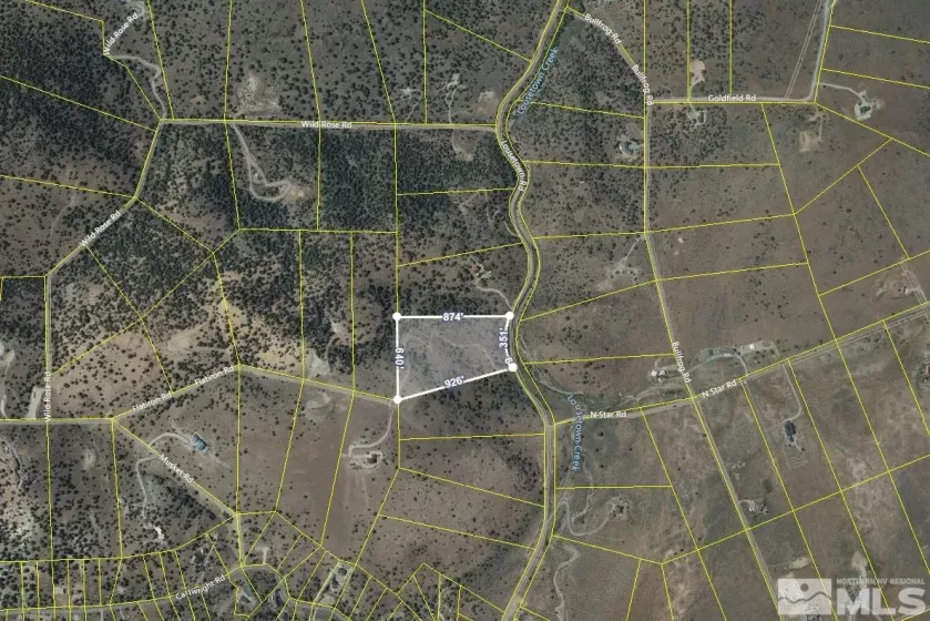 2480 Lousetown, Reno, Nevada 89521, ,Land,Residential,Lousetown,250000059