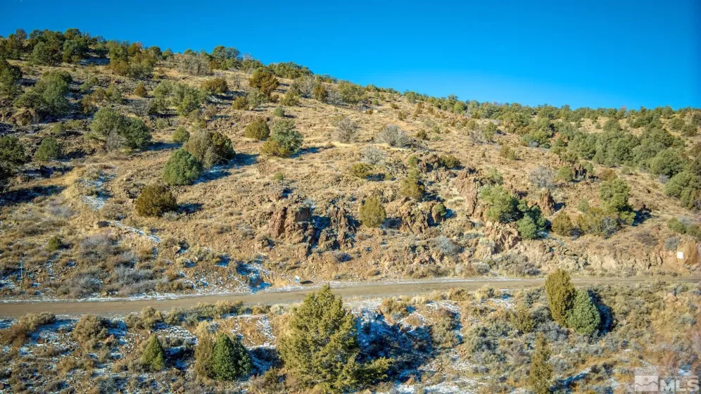 2480 Lousetown, Reno, Nevada 89521, ,Land,Residential,Lousetown,250000059