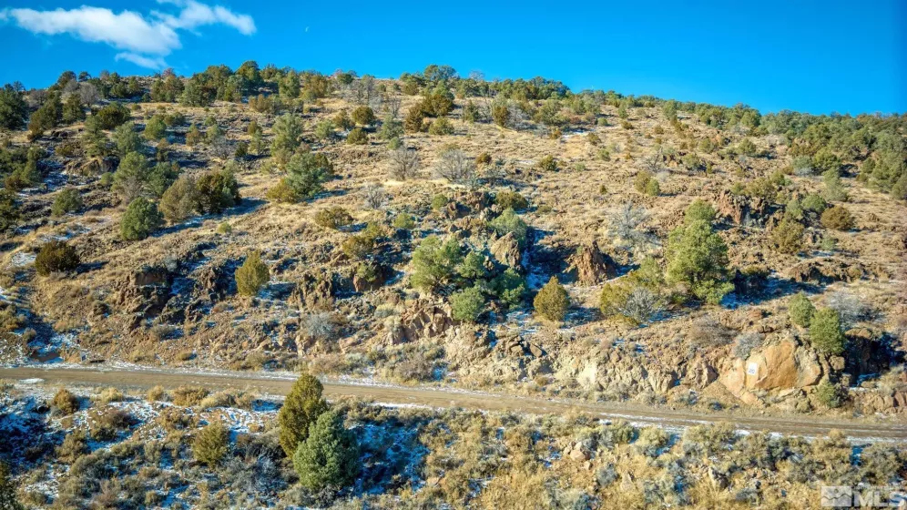 2480 Lousetown, Reno, Nevada 89521, ,Land,Residential,Lousetown,250000059