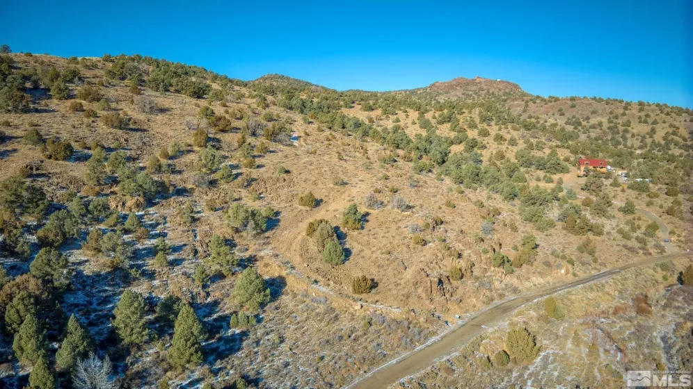 2480 Lousetown, Reno, Nevada 89521, ,Land,Residential,Lousetown,250000059
