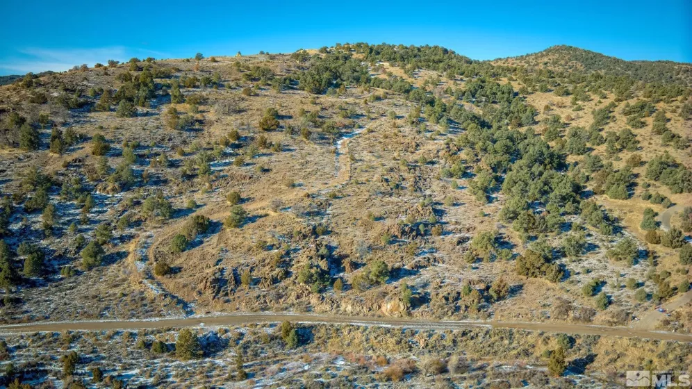 2480 Lousetown, Reno, Nevada 89521, ,Land,Residential,Lousetown,250000059