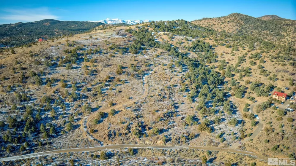 2480 Lousetown, Reno, Nevada 89521, ,Land,Residential,Lousetown,250000059