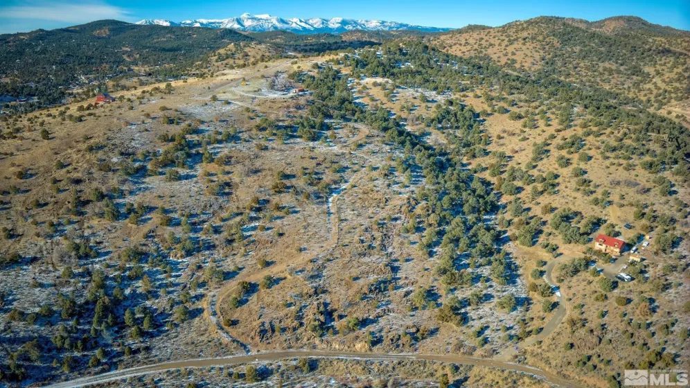 2480 Lousetown, Reno, Nevada 89521, ,Land,Residential,Lousetown,250000059