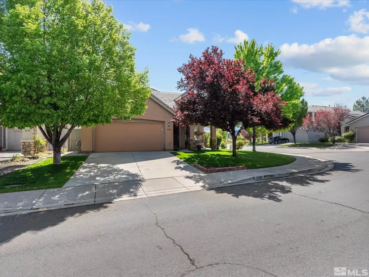 9290 Jack Hammer, Reno, Nevada 89521, 3 Bedrooms Bedrooms, ,2 BathroomsBathrooms,Residential,Residential,Jack Hammer,250006202
