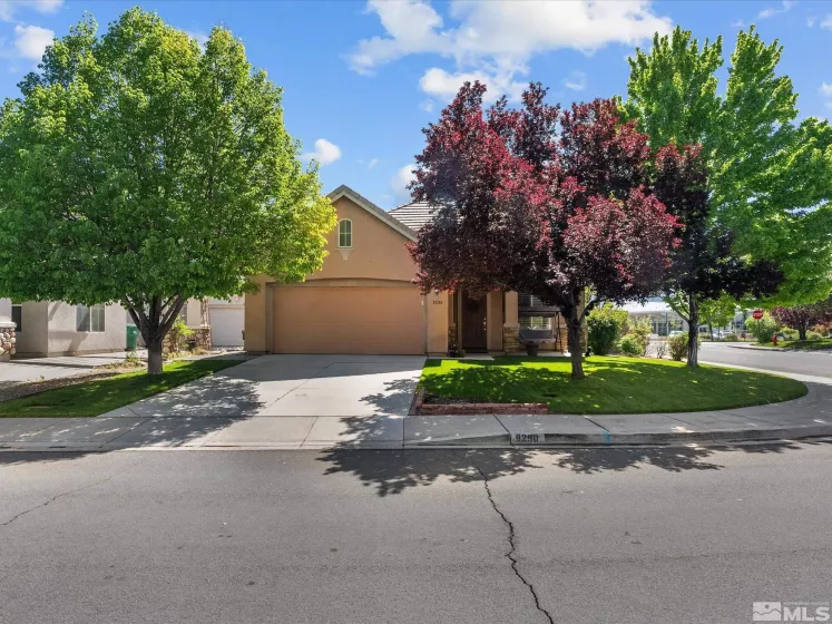 9290 Jack Hammer, Reno, Nevada 89521, 3 Bedrooms Bedrooms, ,2 BathroomsBathrooms,Residential,Residential,Jack Hammer,250006202