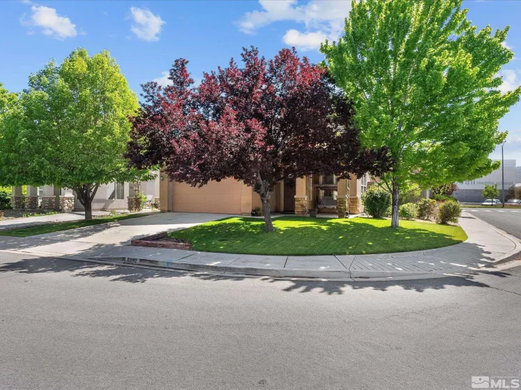 9290 Jack Hammer, Reno, Nevada 89521, 3 Bedrooms Bedrooms, ,2 BathroomsBathrooms,Residential,Residential,Jack Hammer,250006202