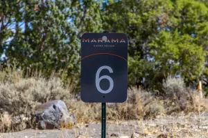 2005 Stag Ridge, Reno, Nevada 89519, 5 Bedrooms Bedrooms, ,7 BathroomsBathrooms,Residential,Residential,Stag Ridge,240013821