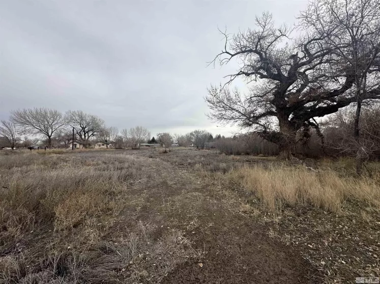 3275 Alcorn, Fallon, Nevada 89406, 3 Bedrooms Bedrooms, ,2 BathroomsBathrooms,Residential,Residential,Alcorn,240001865