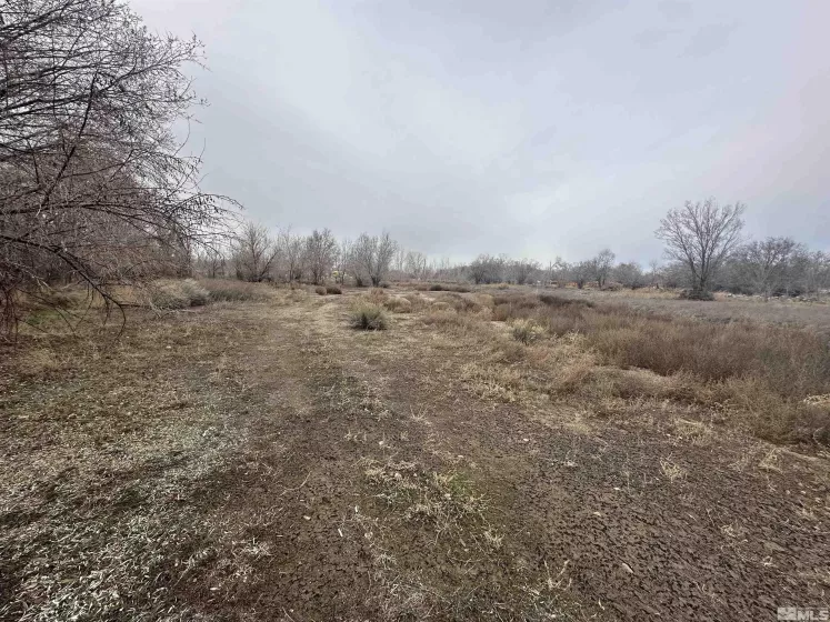 3275 Alcorn, Fallon, Nevada 89406, 3 Bedrooms Bedrooms, ,2 BathroomsBathrooms,Residential,Residential,Alcorn,240001865