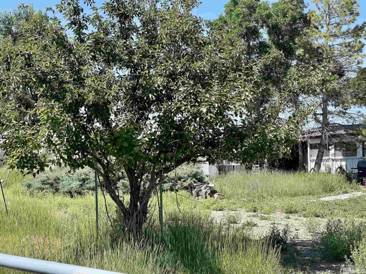 2623 Canyon, Lamoille, Nevada 89828, 3 Bedrooms Bedrooms, ,Residential,Residential,Canyon,240008613
