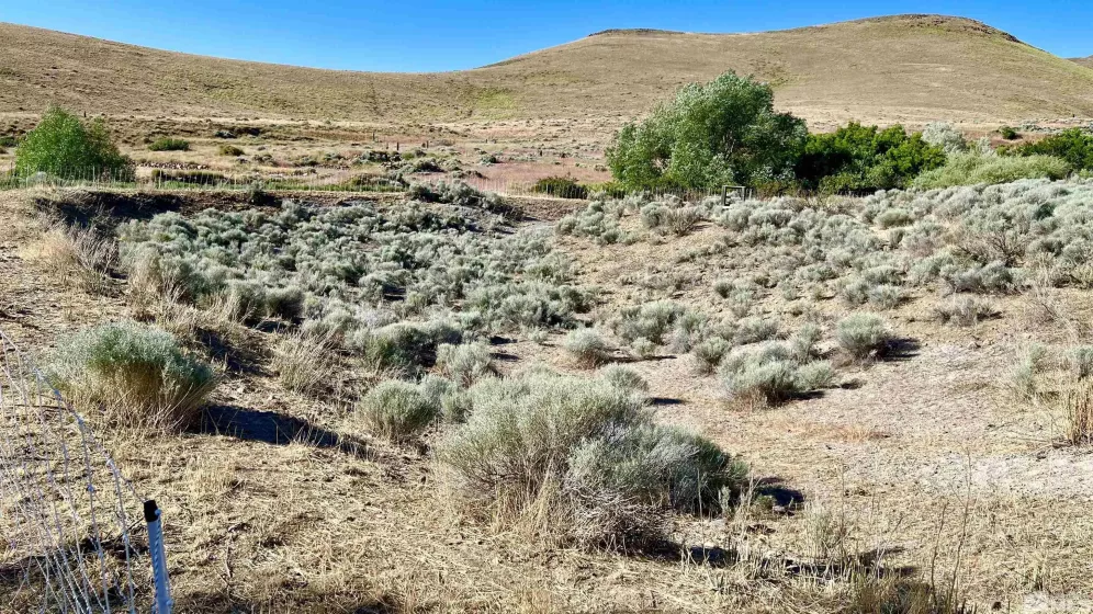 2605 Unionville, Unionville, Nevada 89418, 4 Bedrooms Bedrooms, ,2 BathroomsBathrooms,Residential,Residential,Unionville,240007369