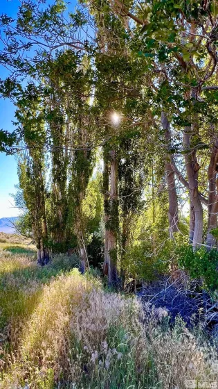 2605 Unionville, Unionville, Nevada 89418, 4 Bedrooms Bedrooms, ,2 BathroomsBathrooms,Residential,Residential,Unionville,240007369