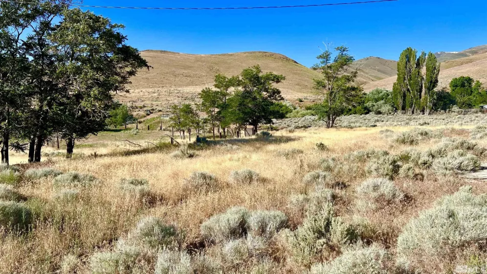 2605 Unionville, Unionville, Nevada 89418, 4 Bedrooms Bedrooms, ,2 BathroomsBathrooms,Residential,Residential,Unionville,240007369