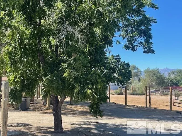 772 Scout, Gardnerville, Nevada 89410, 3 Bedrooms Bedrooms, ,3 BathroomsBathrooms,Residential,Residential,Scout,240011286