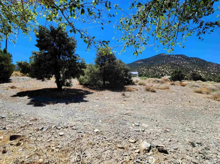 122 Black Hill, Austin, Nevada 89310, 3 Bedrooms Bedrooms, ,2 BathroomsBathrooms,Residential,Residential,Black Hill,240010998