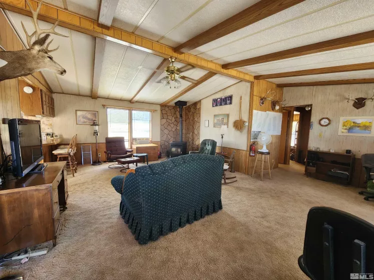 122 Black Hill, Austin, Nevada 89310, 3 Bedrooms Bedrooms, ,2 BathroomsBathrooms,Residential,Residential,Black Hill,240010998