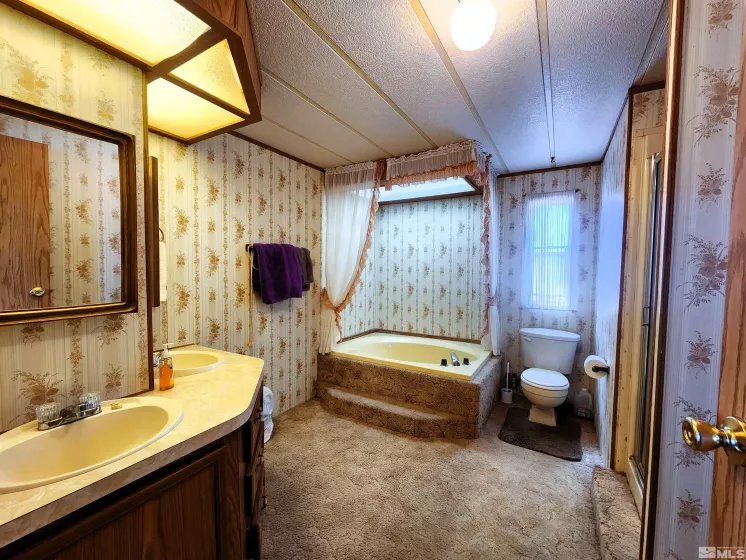 122 Black Hill, Austin, Nevada 89310, 3 Bedrooms Bedrooms, ,2 BathroomsBathrooms,Residential,Residential,Black Hill,240010998