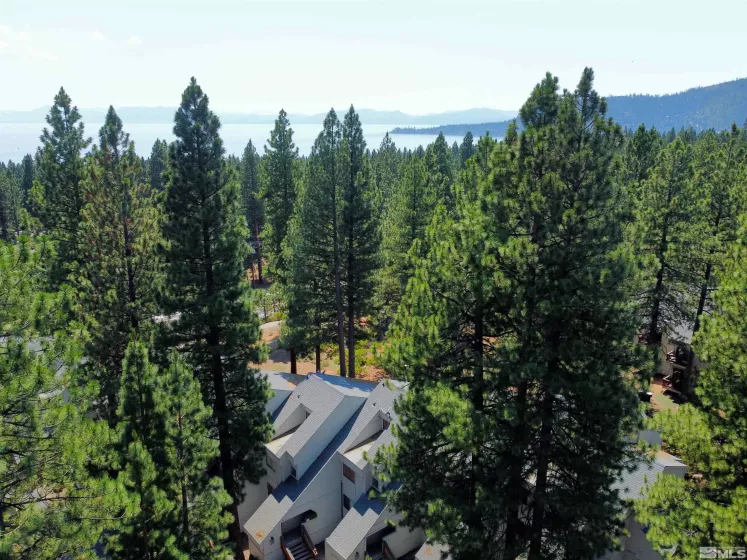 807 Alder, Incline Village, Nevada 89451, 2 Bedrooms Bedrooms, ,2 BathroomsBathrooms,Residential,Residential,Alder,240010382