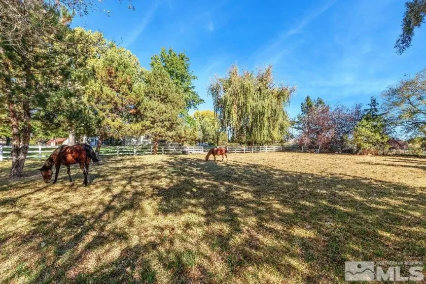 1965 Palmira, Reno, Nevada 89511, 4 Bedrooms Bedrooms, ,3 BathroomsBathrooms,Residential,Residential,Palmira,250002967