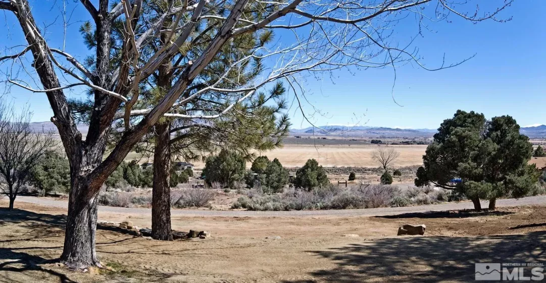 345 Upper Colony, Wellington, Nevada 89444, 3 Bedrooms Bedrooms, ,3 BathroomsBathrooms,Residential,Residential,Upper Colony,250003615