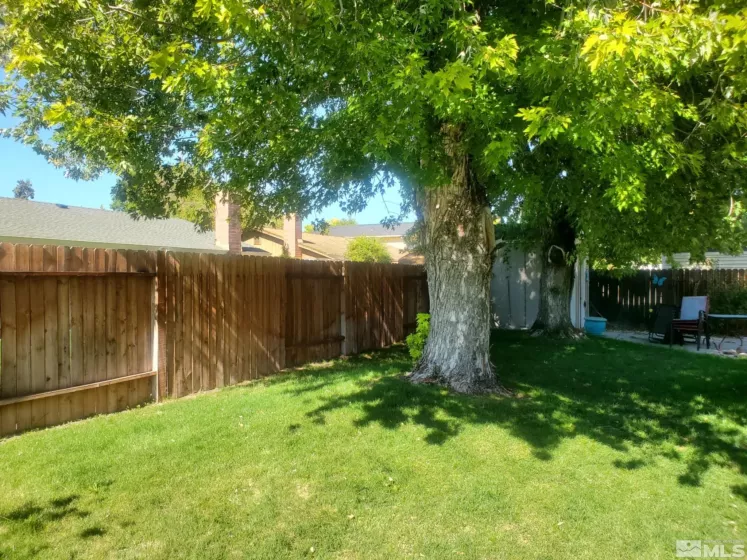 2925 Escondido, Reno, Nevada 89502, 3 Bedrooms Bedrooms, ,3 BathroomsBathrooms,Residential,Residential,Escondido,250003543