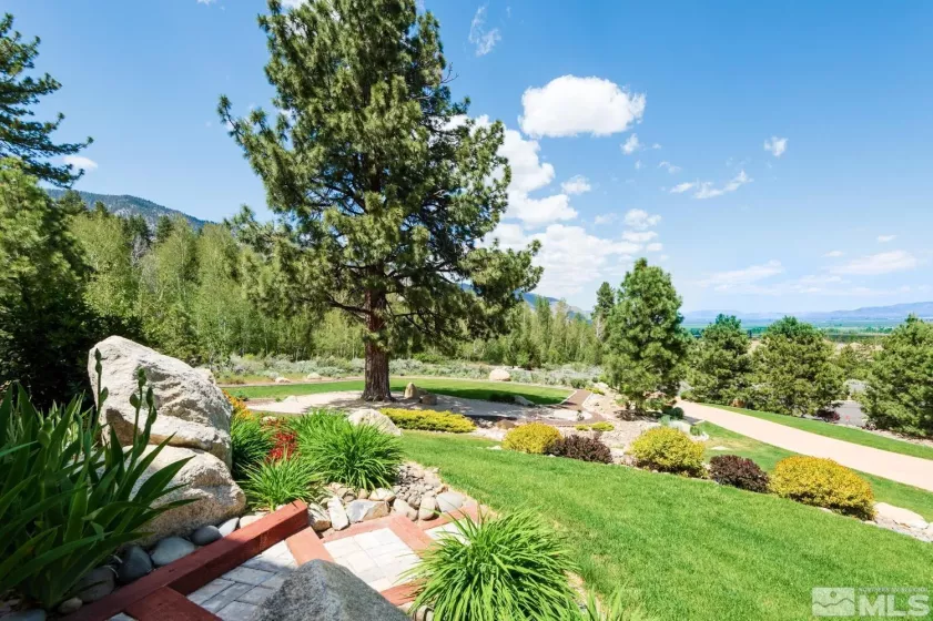1101 Sierra Country, Gardnerville, Nevada 89460, 4 Bedrooms Bedrooms, ,4 BathroomsBathrooms,Residential,Residential,Sierra Country,250003460