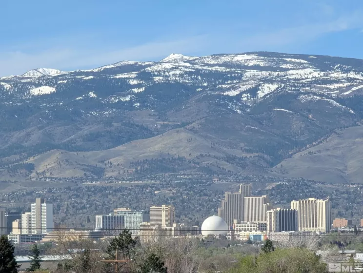 3865 Leonesio, Reno, Nevada 89512, 1 Bedroom Bedrooms, ,1 BathroomBathrooms,Residential,Residential,Leonesio,250003933