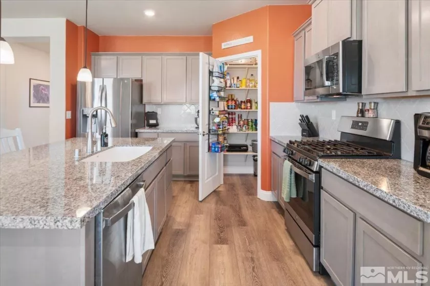 101 Cloud Berry, Sparks, Nevada 89441, 3 Bedrooms Bedrooms, ,2 BathroomsBathrooms,Residential,Residential,Cloud Berry,250006208