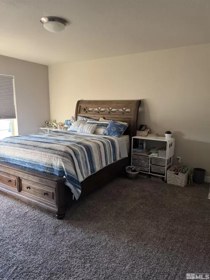 1194 Montevideo, Minden, Nevada 89423, 3 Bedrooms Bedrooms, ,3 BathroomsBathrooms,Residential,Residential,Montevideo,250003261