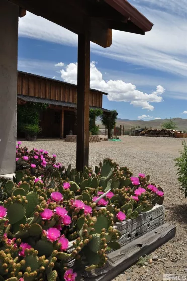 10 Dee, Smith Valley, Nevada 89444, 3 Bedrooms Bedrooms, ,3 BathroomsBathrooms,Residential,Residential,Dee,250002469