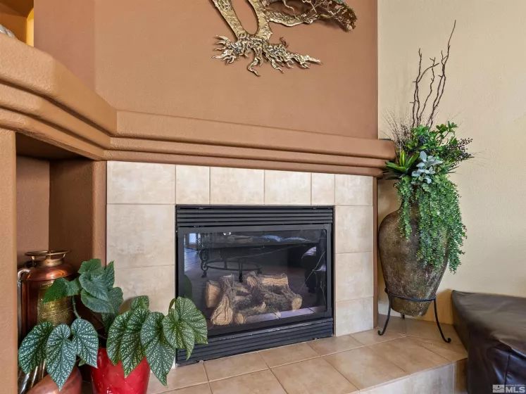 17815 Thunder River, Reno, Nevada 89508, 3 Bedrooms Bedrooms, ,2 BathroomsBathrooms,Residential,Residential,Thunder River,250001543