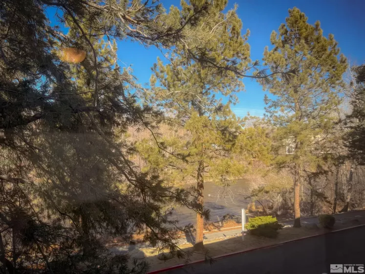 2855 Idlewild, Reno, Nevada 89509, 2 Bedrooms Bedrooms, ,2 BathroomsBathrooms,Residential,Residential,Idlewild,250001389